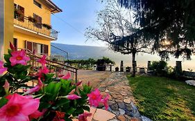 B&B Antiche Pietre
