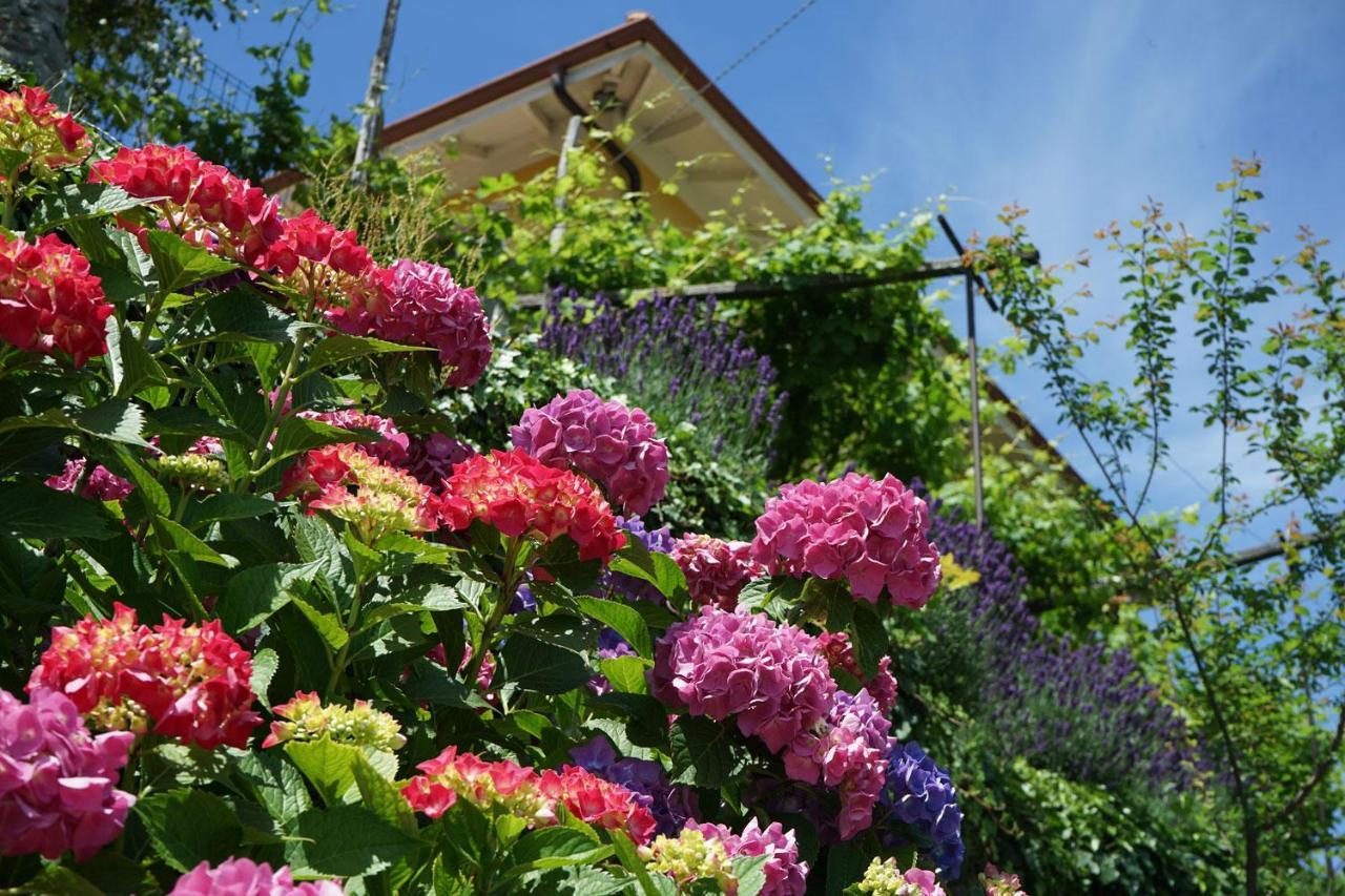B&B Antiche Pietre Bollengo Extérieur photo
