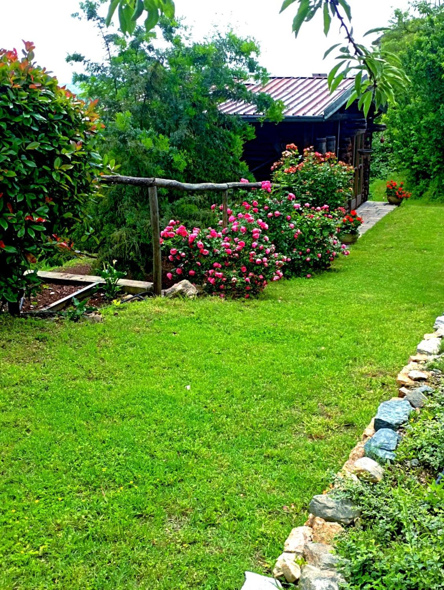 B&B Antiche Pietre Bollengo Extérieur photo